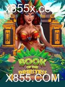 Explorando o Fascinante Universo do Jogo BookOfThePriestess