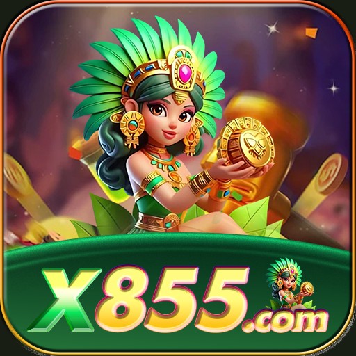 X855.COM