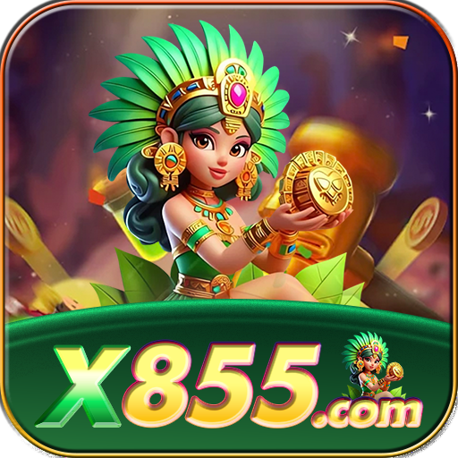 X855.COM